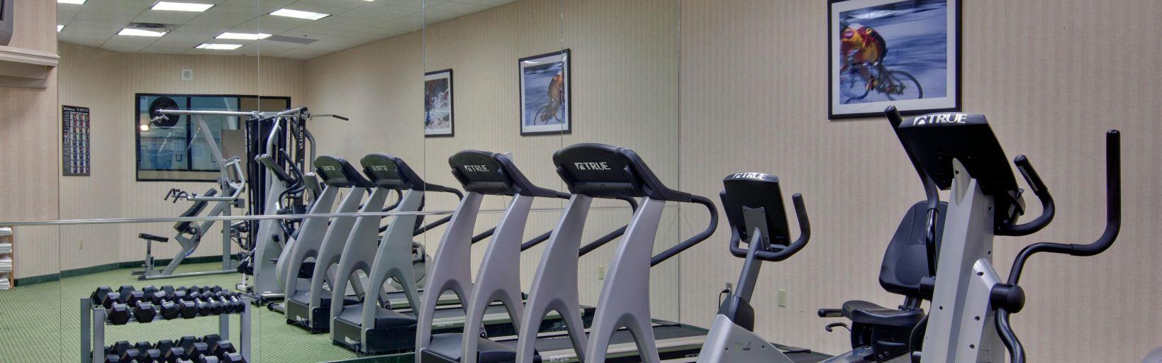Holiday Inn Windsor - Ambassador Bridge By Ihg Экстерьер фото